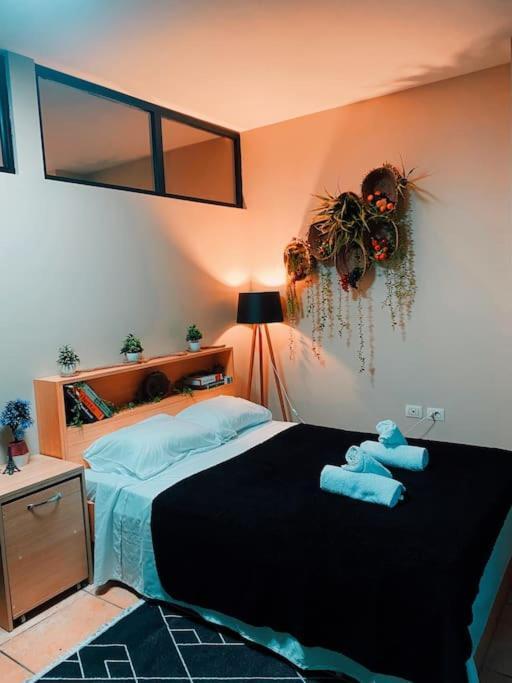 City Central Amazona Appartment ติรานา ภายนอก รูปภาพ